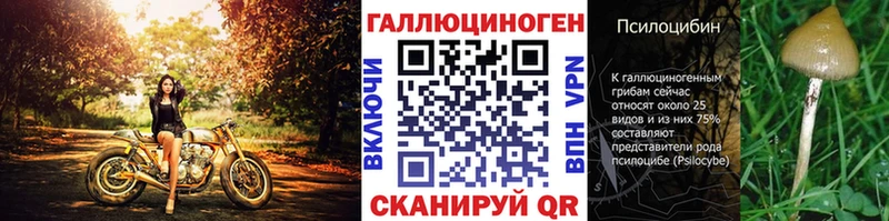магазин  наркотиков  Алатырь  Псилоцибиновые грибы Cubensis 